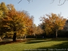 DSC01455_DxO