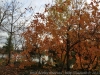 IMG_4145_DxO