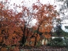 IMG_4146_DxO