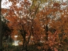IMG_4147_DxO