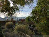 IMG_4150_DxO