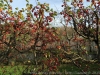 IMG_4156_DxO