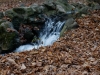 DSC01467_DxO