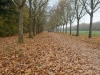 DSC01476_DxO