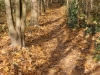DSC01479_DxO