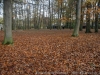 DSC01498_DxO