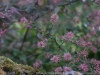 DSC01512_DxO