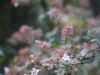DSC01514_DxO