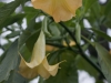 DSC01536_DxO