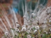 DSC01540_DxO