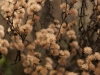 DSC01549_DxO