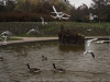 DSC01578_DxO2