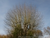 DSC01599_DxO