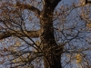 DSC01619_DxO