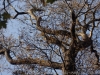 DSC01621_DxO