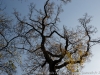 DSC01623_DxO