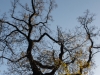 DSC01625_DxO