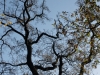 DSC01626_DxO