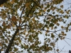 DSC01638_DxO