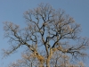 DSC01643_DxO