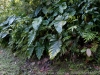 DSC01733_DxO