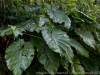 DSC01734_DxO