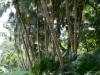 DSC01739_DxO