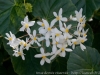 DSC01791_DxO