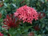 DSC01793_DxO