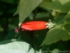 DSC01794_DxO