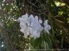 DSC01799_DxO