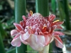 DSC01812_DxO_1