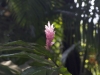 DSC01825