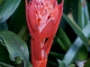 DSC01828_DxO
