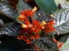 DSC01829_DxO