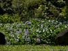 DSC01843_DxO