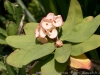 DSC01848_DxO