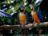 DSC01839_DxO_1