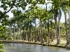 DSC01883_DxO