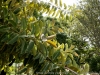 DSC01894_DxO