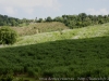 DSC01908_1