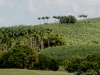 DSC01909_DxO_1