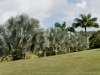 DSC01911_DxO_1
