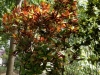 DSC01939_DxO
