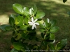 DSC01954_DxO
