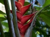 DSC01971_DxO_2