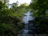 DSC01984_DxO