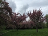 IMG_4768_DxO_1