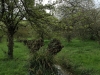 IMG_4773_DxO