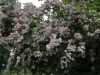 IMG_4861_DxO